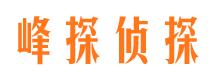 让胡路峰探私家侦探公司